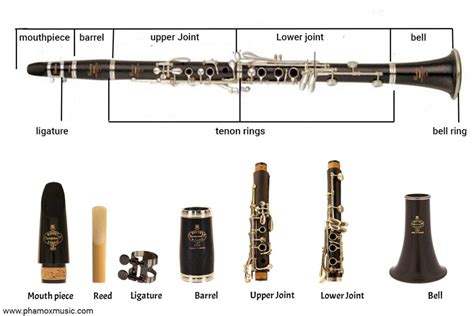 The Clarinet Part